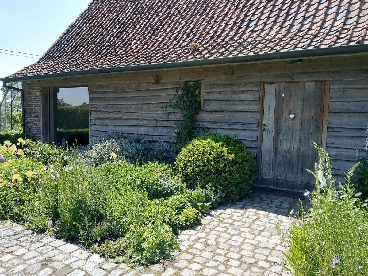 B&B De Hulst Izegem Eksteriør bilde