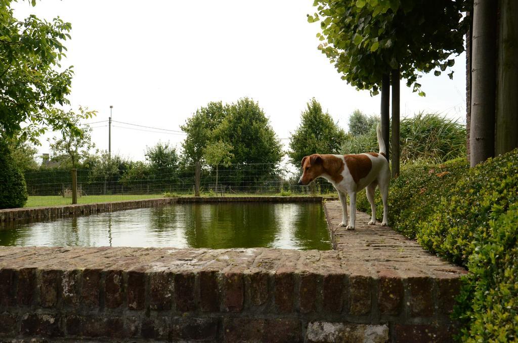 B&B De Hulst Izegem Eksteriør bilde